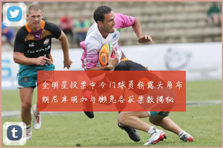 全明星投票中冷门球员崭露头角布朗尼库明加与獭兔各获票数揭秘